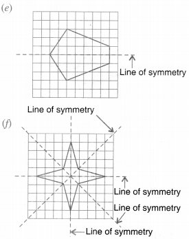 tiwari academy class 6 maths Chapter 13 Symmetry 35